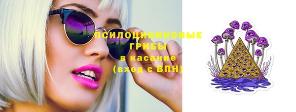 дживик Аркадак